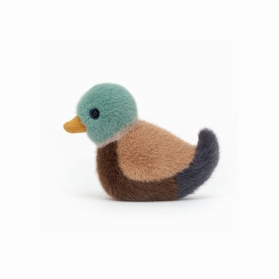 Jellycat Mallard Birds New Zealand | FRIQW0251